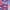 Pop Art Red White Blue, variant on Birdie Bound Men's and Big & Tall Firecracker Popsicle Print Polo Top, Sizes XS-4XLT