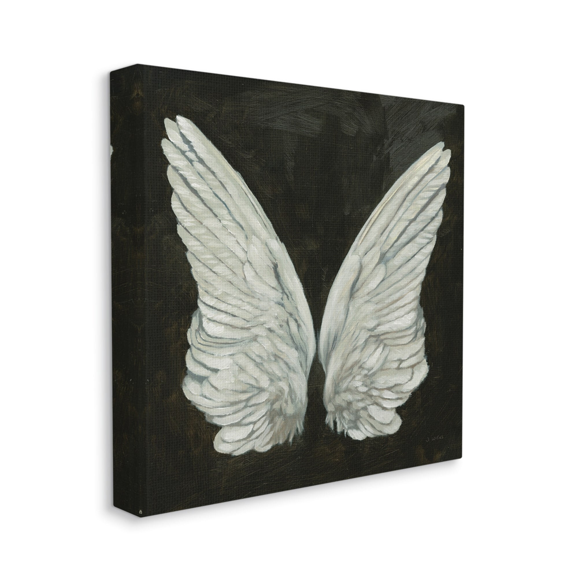 Stupell Industries Off-White Angel Wings White Feathers over Black, 24 x 24,Design by James Wiens