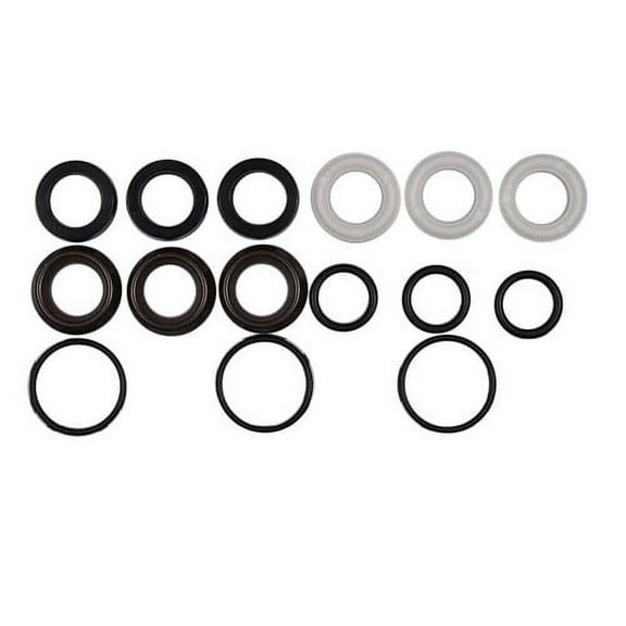 Briggs & Stratton 198845GS Water Seal Kit