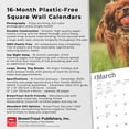 thumbnail image 5 of Cavalier King Charles Spaniels 2025 12 X 24 Inch Monthly Square Wall Calendar Plastic-Free, (Paperback), 5 of 9