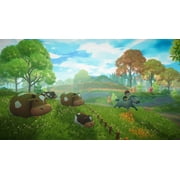 Everdream Valley, Nintendo Switch