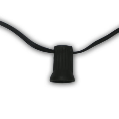 Aspen Brands 1000 ft. Aspen String Lights