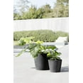thumbnail image 4 of Ecopots Amsterdam Durable Modern Round Indoor/Outdoor Recycled Based Composite Flower Pot Planter, Dark Grey, 8", 4 of 4