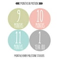 thumbnail image 6 of Baby Monthly Stickers | Baby Milestone Stickers | Newborn Stickers | Month Stickers for Baby Girl | Baby Girl Stickers | Newborn Monthly Milestone Stickers (Set of 24), 6 of 6