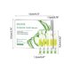 thumbnail image 3 of Pasta dental en ampolla, elimina el sarro, la placa y diversos problemas bucales (15 ml), 3 of 4