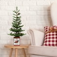 thumbnail image 4 of Haute Decor 24 Inch Potted Tree with Pinecones, Metal Pot with Classic Red Truck, 4 of 4