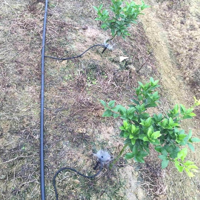 Boquilla de riego para plantas de jardín, rociador, goteo, 10 Uds., 360 Likrtyny Libre de BPA