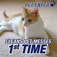 Resolve Pet Expert High Traffic Foam Carpet Cleaner, 22 oz (Pack of 2