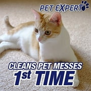 Resolve Pet Formula High Traffic Carpet Cleaner Foam, 22 oz