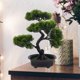 thumbnail image 4 of ADDHAT Árbol Bonsái Artificial Para Interior Planta Falsa Para Oficina Y Hogar, 4 of 6