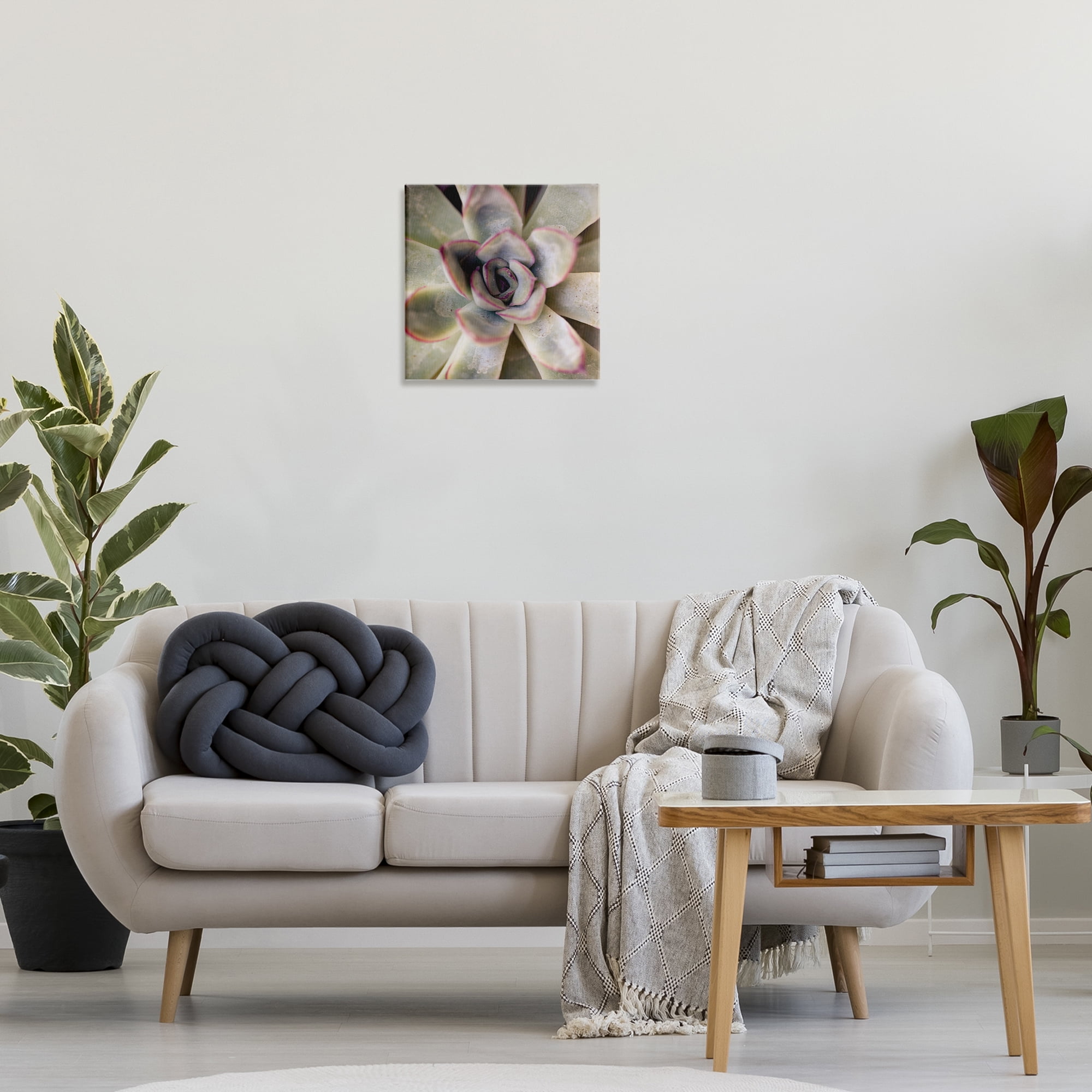 Stupell Industries Succulent Petals Pattern Plants & Flowers Photography Wrapped Canvas Art Print Wall Art, 17 x 17