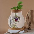 thumbnail image 4 of LOVEVER Desktop Fish Bowl Hydroponic Terrarium Glass Small Fish Tank with Bamboo Cushion, 4 of 4