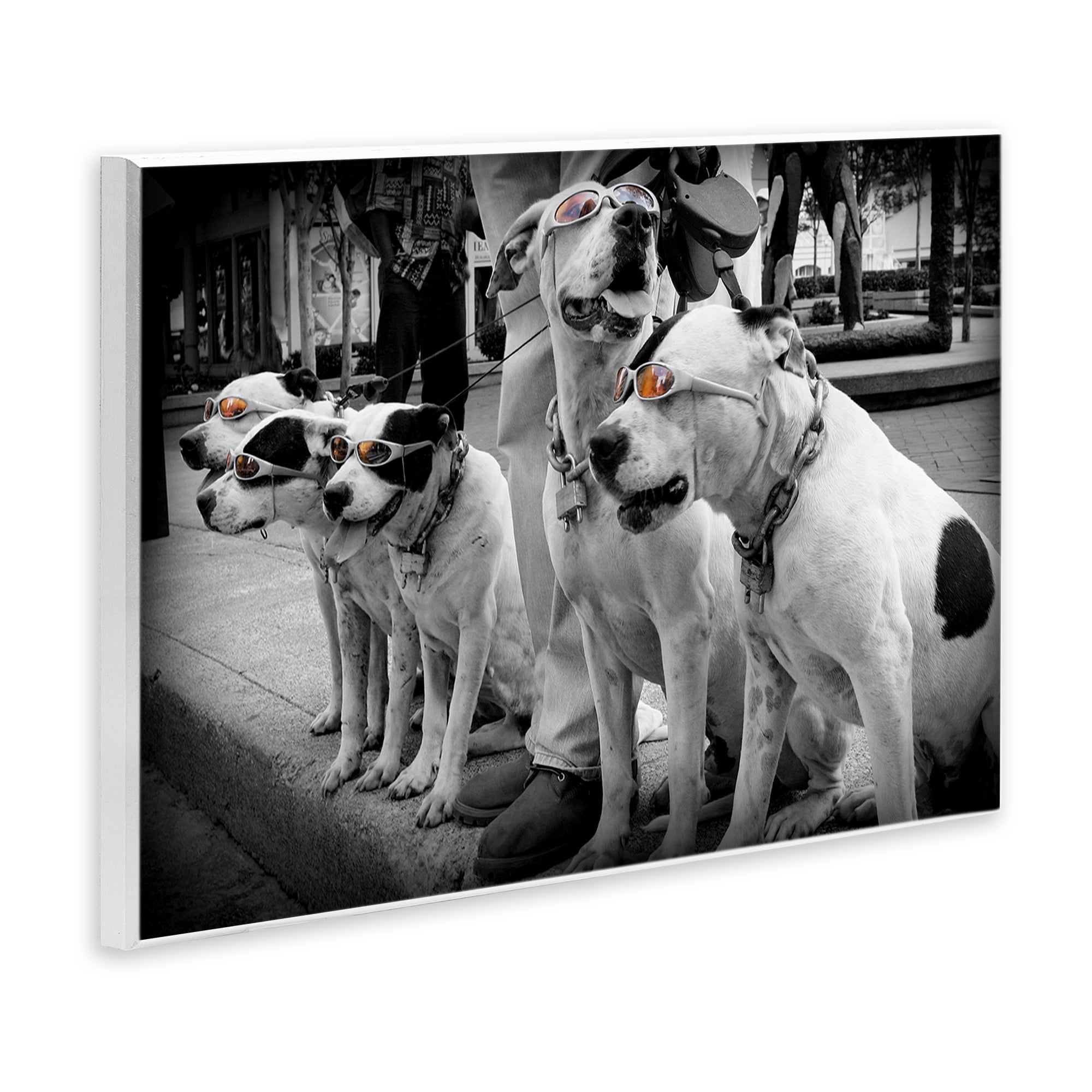 Stupell Industries Afternoon Stroll Pups Wall Plaque Art, design by Scott Henderson