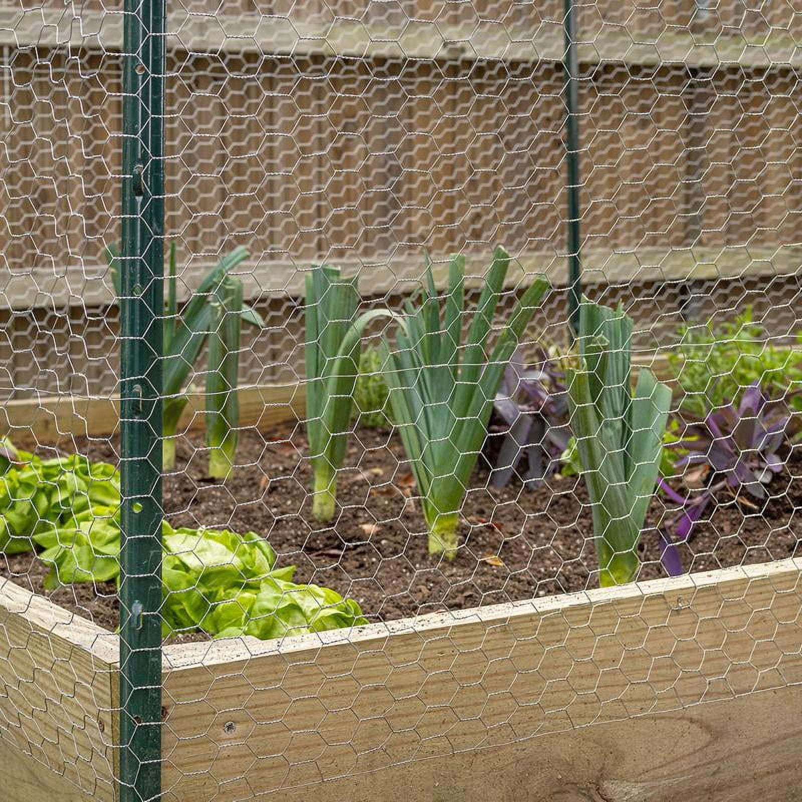 Garden Zone 50 ft. X 48 in. Galvanized Steel Poultry Netting