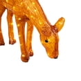 thumbnail image 5 of Northlight LED Lighted Commercial Grade Acrylic Feeding Reindeer Outdoor Christmas Decoration - 22", 5 of 9
