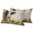 Yellow, variant on 2 Pack Outdoor Waterproof Throw Pillow Covers,Farm Cow Vintage Newspaper Texture Decorative Rectangle Pillow Case Patio Pillowcases for Chair Couch Sofa 20x12in