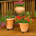 thumbnail image 5 of Plant Stand with 4 Rollers, Heavy-Duty Iron Rolling Plant Stands, Coaster with Casters Garden Dolly Flower Pot Mover Rollers, Indoor Outdoor, 5 of 9