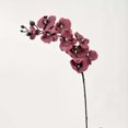 thumbnail image 2 of Clearance | Dull Red 9 Heads Artificial Phalaenopsis Orchid Stem, 69cm Tall Faux Orchid Flower with Bendable Branches for Living Room Entrance Desktop Vase Decoration, 2 of 6