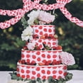thumbnail image 1 of Vaidha Red And Black Polka Ribbon Spring And Summer Ladybugs Gift Packaging Tape 197inch, 1 of 2