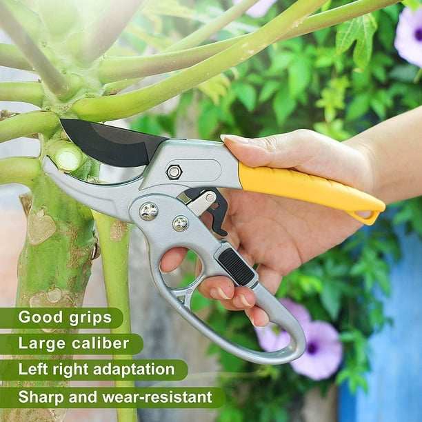 Sécateur de jardin, poignée antidérapante sécateur Cutter jardinage plante  ciseaux branche sécateur tondeuse outils sécateurs à