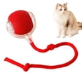 thumbnail image 1 of Tignapoo Jouet Interactif pour Chat Balle avec Réveil Automatique, Rechargeable, Jeu Multi-Mode, et Design Durable pour un Plaisir Sans Fin, 1 of 6