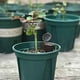 thumbnail image 3 of Ounissouiy 50 Uds cestas de plantas cesta de fertilizante cubierta tapa malla agricultura acuario caja Bonsai hogar jardín accesorios Jardín y Patio Ounissouiy HA082238-00B, 3 of 6
