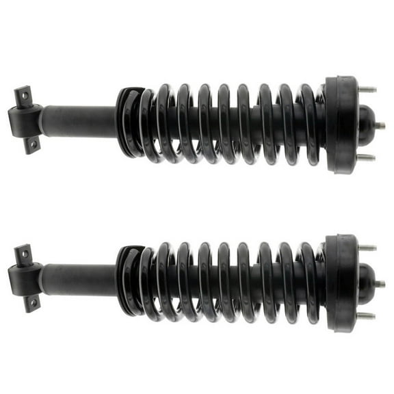 BuyAutoParts Shock and Strut Set 77-74962C8
