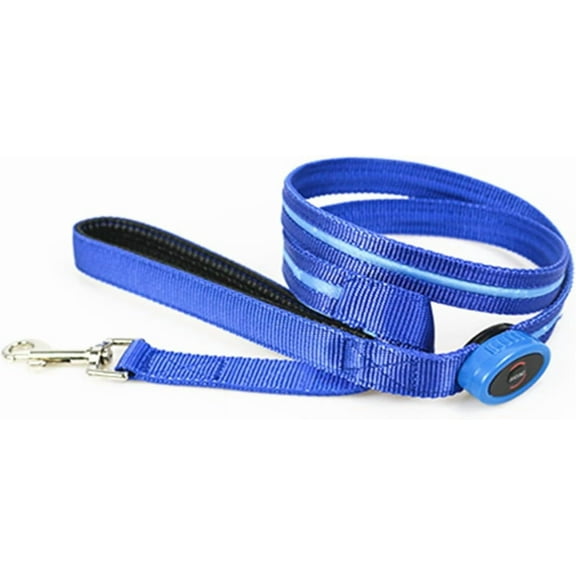 EONQY LED Light Up Dog Leash, 3 Lighting Modes Battery Operated Flashing Nylon Leash for Night Walking for Small Medium Large Dogs