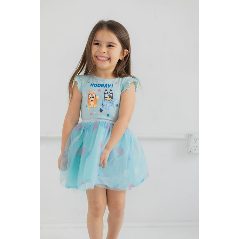 Bluey Tutu set-Bluey outfit-Bluey dress-bluey Birthday 2T