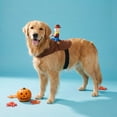 thumbnail image 2 of Vibrant Life Halloween Cowboy Ride-On Costume for Dogs, Multicolor, L, 2 of 6