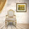 thumbnail image 3 of Talbot Frank, Christopher 17x15 Gold Ornate Wood Framed with Double Matting Museum Art Print Titled - California, Sierra Nevada, Fall colors of Aspens, 3 of 4
