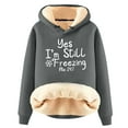 thumbnail image 2 of Bcresic Heavyweight Hoodie for Women Sherpa Lined Warm Fleece Hooded Sweatshirt Long Sleeve Winter Trendy Letter Pullover for Winter(Gray,M), 2 of 3