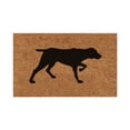 thumbnail image 2 of 1× Floor Mat Funny Dog Mat Decorative Door Mat Bathroom Welcome Mat Door Mat Floor Mat, 2 of 7