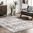 thumbnail image 1 of nuLOOM Serena Machine Washable Distressed Traditional Area Rug, 3x5, Grey, 1 of 6