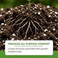 thumbnail image 5 of ACDANC 2026 New Succulent Cactus Potting Soil Mix All Purpose Quick Drain Orchid Bonsai Perlite Ready to Use Resealable Bag, 5 of 7