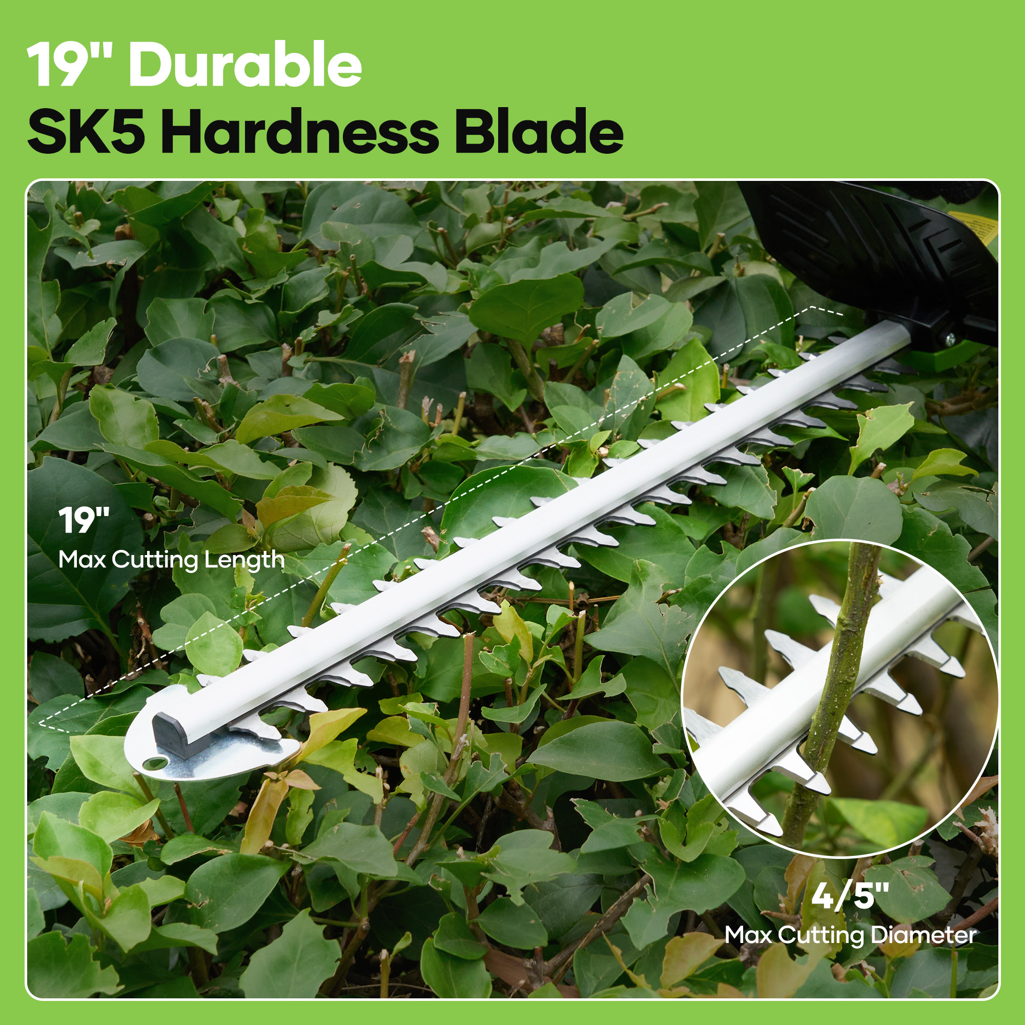 TACKLIFE 20V 19In Cordless Hedge Trimmer with 2.0Ah Battery & Charger, Electric Hedge Trimmer with SK5 Durable Dual-Action Blades, for Bush & Shrub Cutting, Trimming, Pruning, Portable,Green