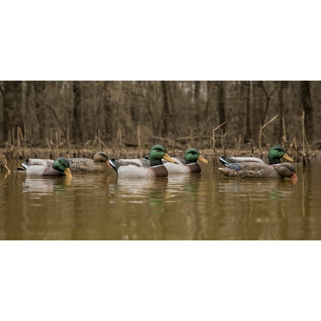Higdon Magnum Mallard Foam-Filled Decoys (Pk/6)