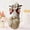 A2, variant on [CLEARANCE PRICE]Rudolph Doll Handmade Swedish Tomte Christmas Gnomes Decorations