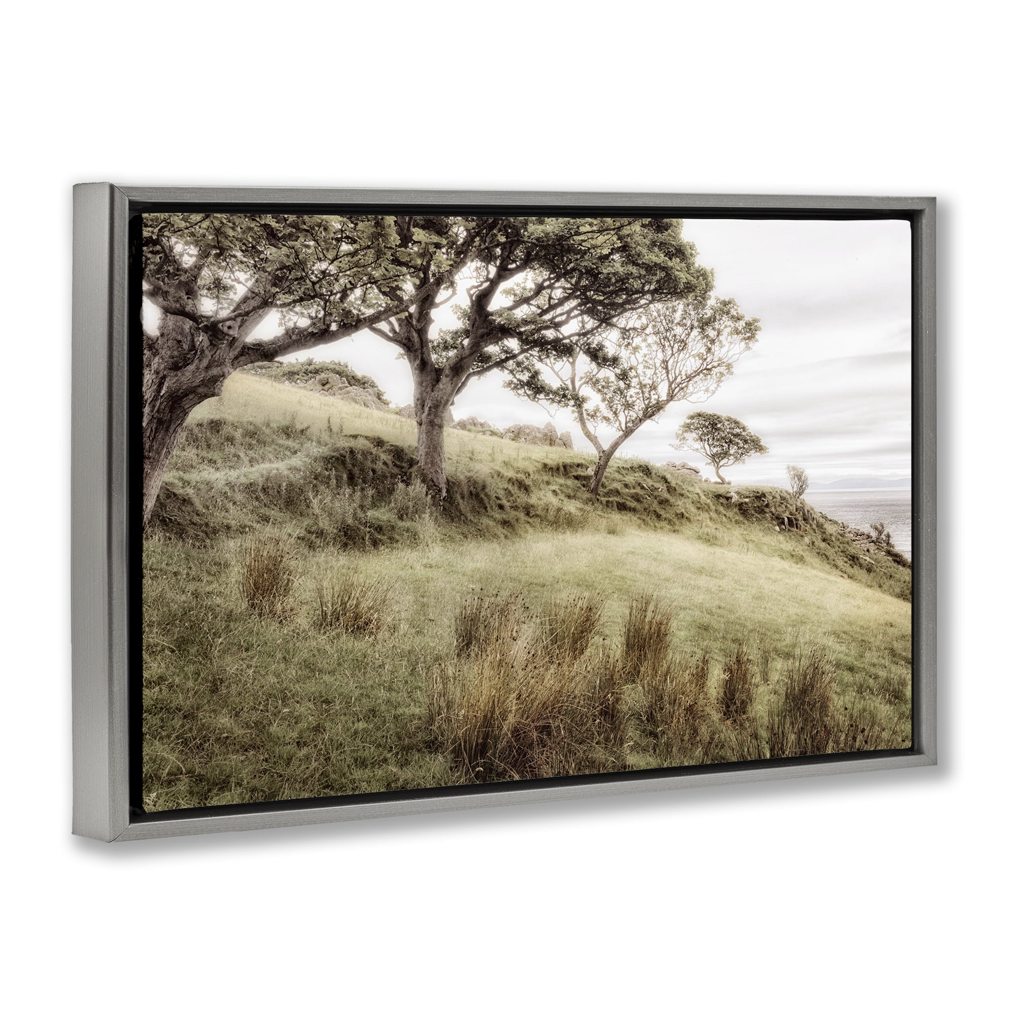 Stupell Industries Irish Hillside Landscape Gray Framed Floater Canvas Wall Art, design by Andy Amos