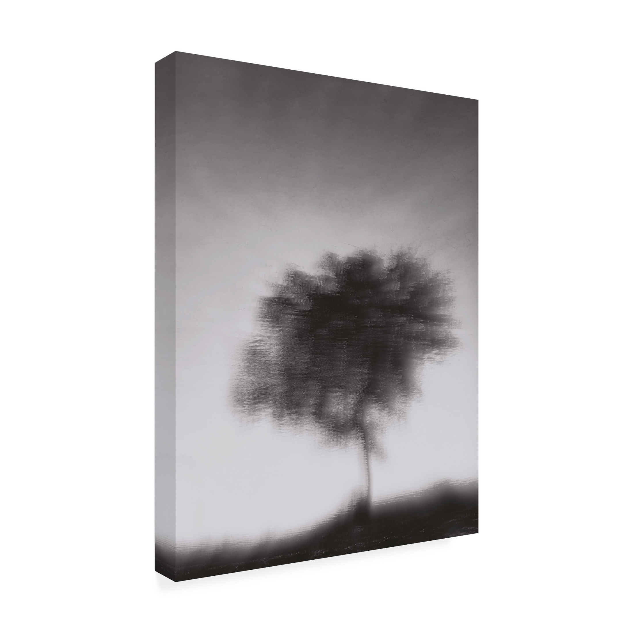 Trademark Fine Art Jassi Oberai Illusion Canvas Wall Art