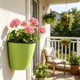 thumbnail image 6 of Indoor Outdoor Wall Mounted Planters with Drainage Holes Ideal for Decorating Balconies and Terraces Plants Flowers Indoor Outdoors, 6 of 6