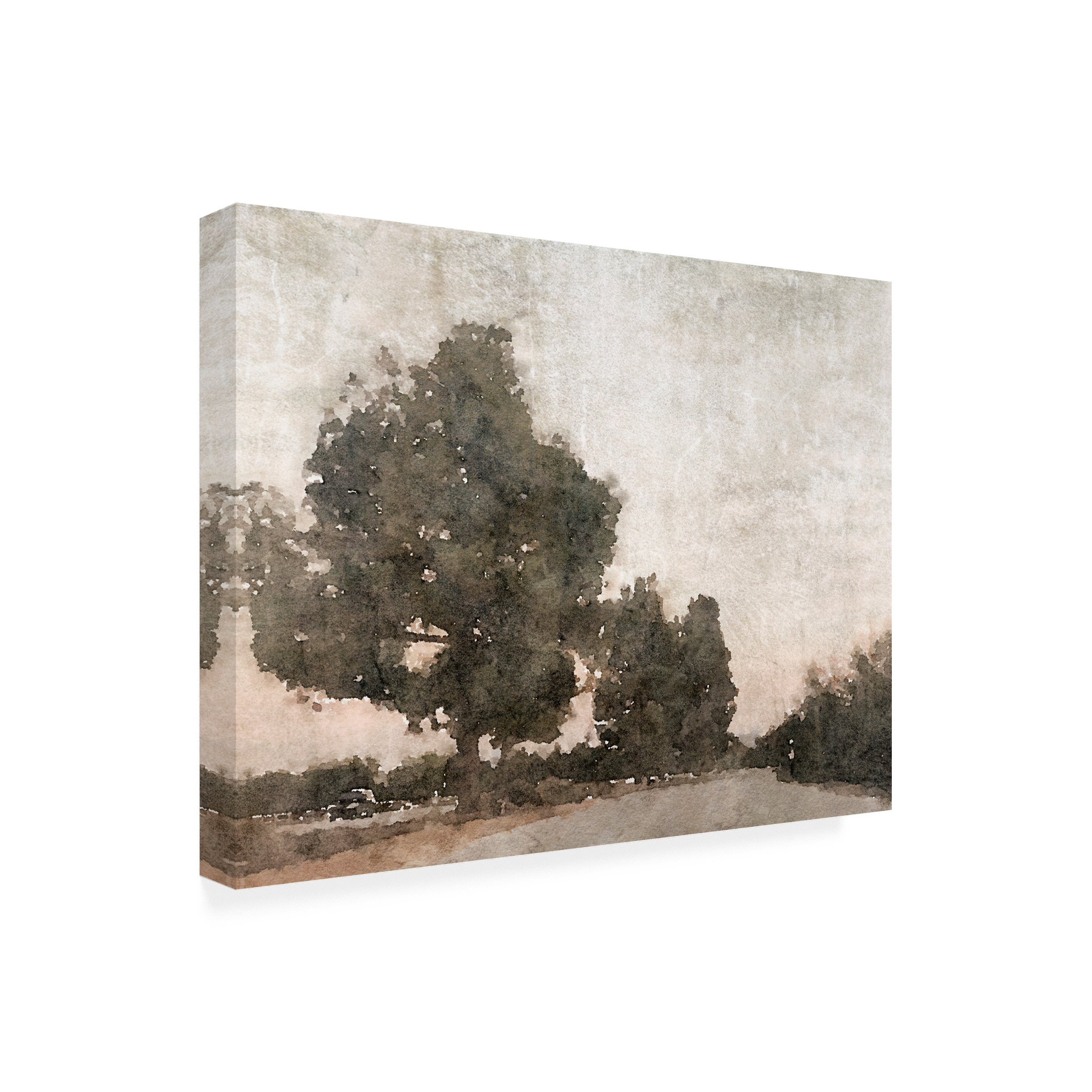 Irena Orlov 'November Morning Mist III' Canvas Art