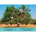 thumbnail image 4 of Odd Animals (National Geographic Kids Pre-Reader), 4 of 4