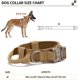thumbnail image 4 of Collar de perro Zefei Wu de nylon ajustable con hebillas metálicas sólidas y anillo en D tamaño M, 4 of 5