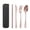 Rose Gold, variant on Portable Cutlery Set, 4-Piece 304 Stainless Steel Knife, Fork, Spoon, and Chopsticks with Carry Case