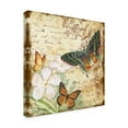 thumbnail image 2 of Trademark Fine Art 'Inspirational Butterflies 4' Canvas Art by Jean Plout, 2 of 3