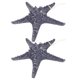 thumbnail image 3 of Large Resin Star Fish Wall Hanging Craft 2Pcs Unique Decor For Living Room Bedroom Bathroom, 3 of 5