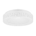 thumbnail image 1 of Cateissary Lámpara LED de techo con atenuación continua, luz de techo redonda con forma de nido de pájaro para dormitorio, Hotel y oficina Iluminación y accesorios 38cm 24W Cateissary HA024930-01, 1 of 1