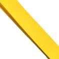 thumbnail image 3 of Urban Fight Martial Arts Belt, 3 of 4