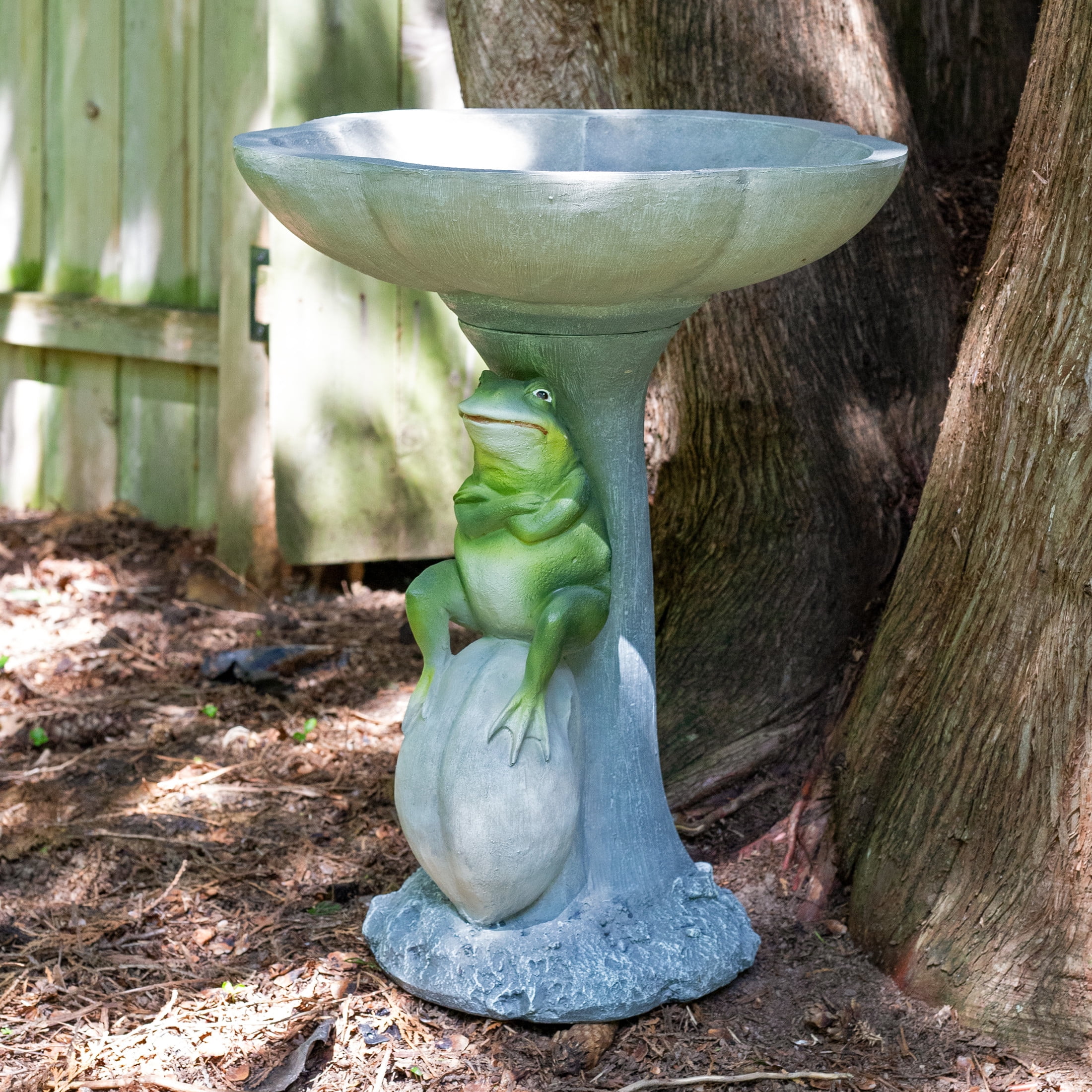 Sunnydaze Freestanding Polyresin Outdoor Bird Bath, Brooding Frog on a Stone